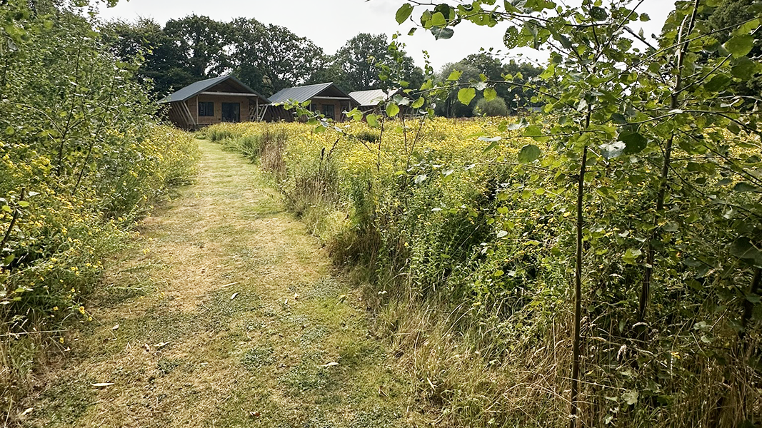 The Meadow